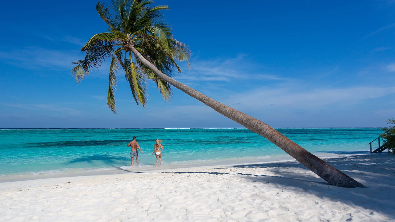 Resort maldiviano tra mare cristallino e natura