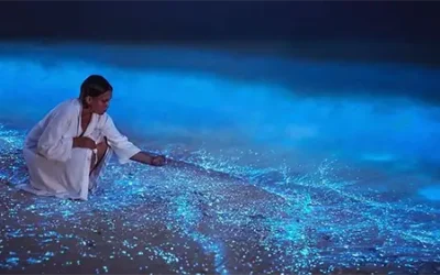 Stelle in spiaggia alle Maldive