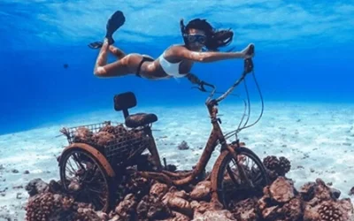 Il Parco sottomarino delle Maldive