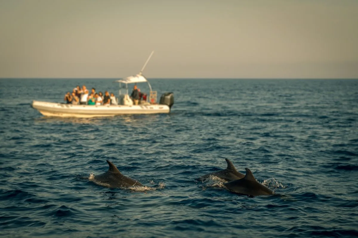 Esperienze durante una vacanza alle Maldive